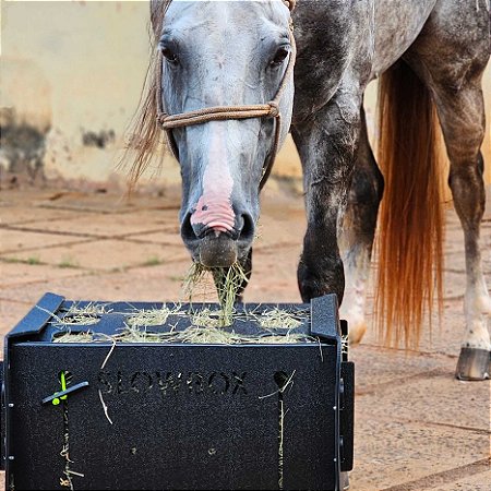 Cocho Alimentação Lenta para Feno 7kg a 9kg Equinos e Muares Econômico Portátil Desmontável Slowbox