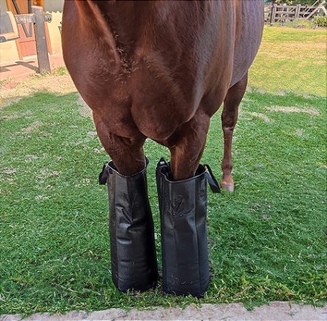 Iceboot Bota de Gelo para Cavalos (Equinos e Muares) em Lona PVC Impermeável e Resistente