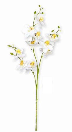 Galho Orquidea Cymbidium 10 flores - Branca 86cm