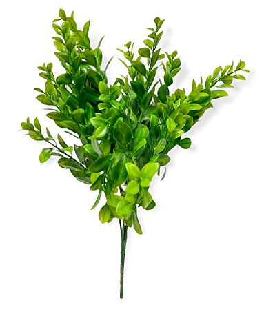 Buque Mini Louro - Verde 40cm