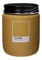 VELA POTE YELLOW BERGAMOT PANTONE LENVIE - 170GR