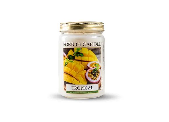 VELA FORBICI SIGNATURE - CANDLE TROPICAL 275G