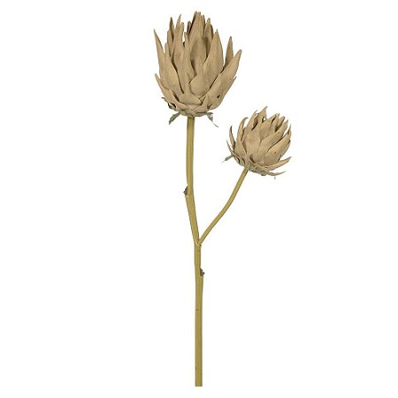 HASTE DECORATIVA PROTEA X2 FLORES COR PALHA 65cm