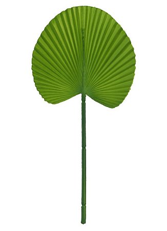 FOLHA LEQUE VERDE ESCURO 36cm