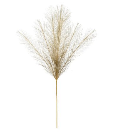 CAPIM DOS PAMPAS PLUMA X7 CHA 2 TONS 70cm