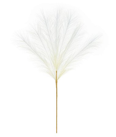 CAPIM DOS PAMPAS PLUMA X7 COR CREME 70cm