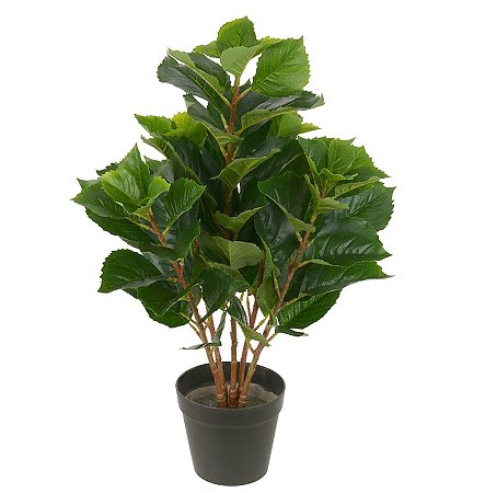 FOLHAGEM DECORATIVA TOQUE REAL C/POTE 60cm