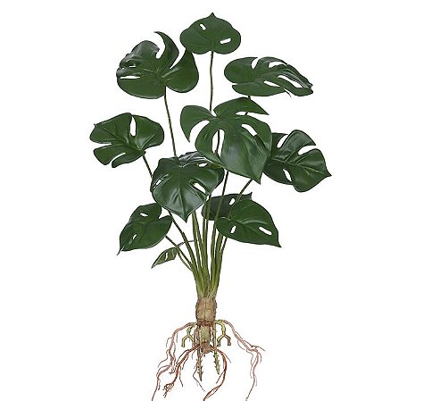 FOLHAGEM DECORATIVA COSTELA DE ADAO TOQUE REAL C/RAIZ 48cm