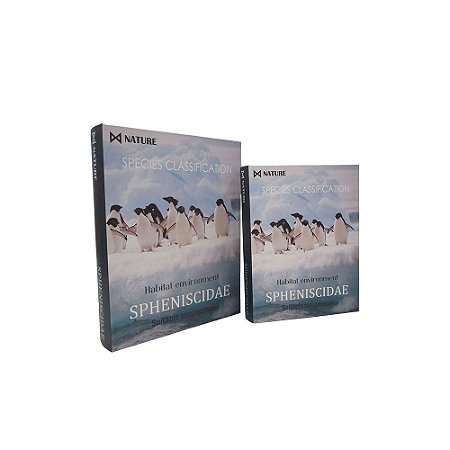 CJ DE LIVROS CAIXA DECORATIVO NATURE BRANCO E AZUL 2PCS