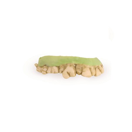 DENTE DE ZUMBI VERDE HALLOWENN