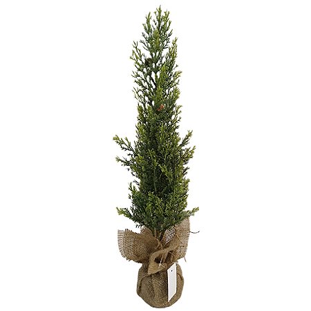 MINI ARVORE DE NATAL COM BASE JUTA - 60CM