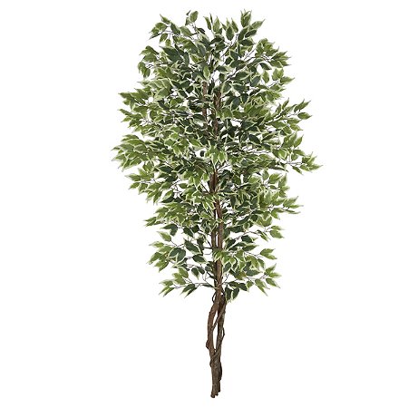ARVORE FICUS X1008  FOLHAS VERDE CREME 2,1m