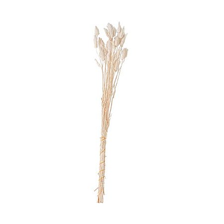FLOR CAUDA DE COELHO PRESERVADA 66CM MART