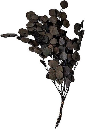 FOLHAGEM ARRANJO MINIFOLHA DE EUCALIPTO MART 65CM