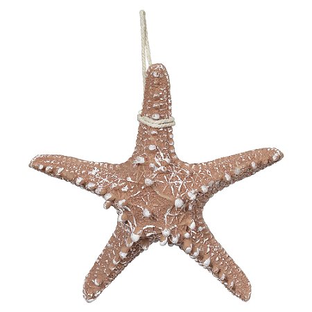 ESCULTURA ESTRELA DO MAR TERRACOTA 16CM FLORARTE