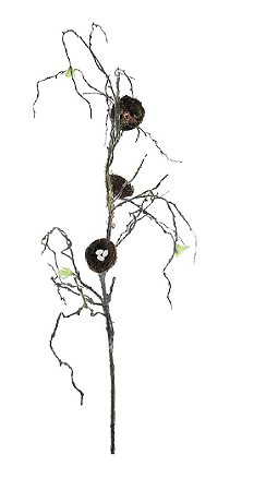 GALHO RUSTICO C/NINHOS 110 CM DECORATIVO