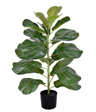 ARVORE PERMANENTE FOLHAGEM FICUS LIRATA X21 FOLHAS NO POTE