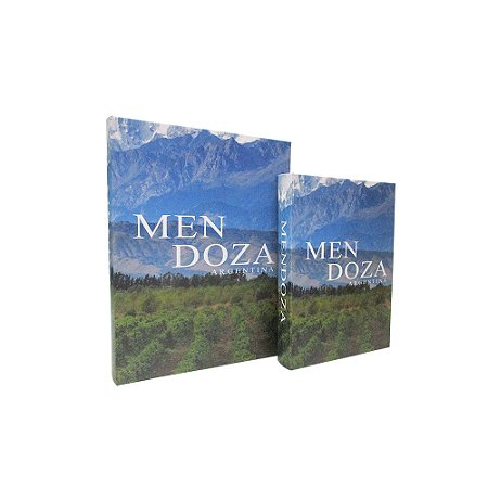CJ 02 LIVROS CAIXA MENDOZA ARGENTINA MENDOZA AZUL E VERDE