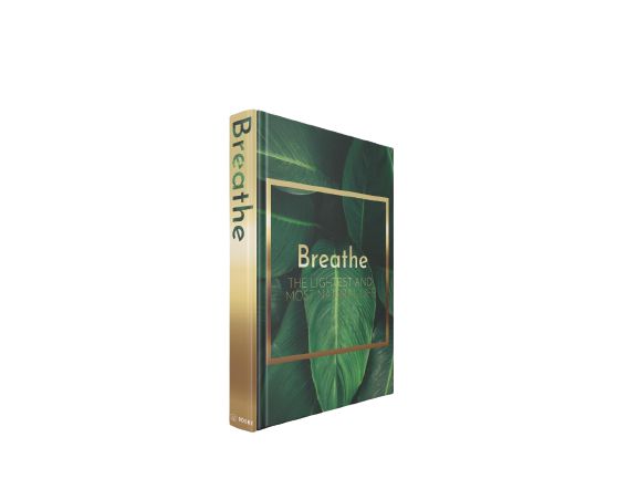 CAIXA LIVRO BOOK BOX BREATHE