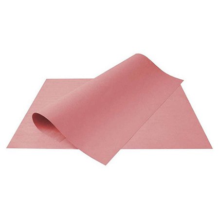 Cartolina Escolar Anin Rosa 50 x 66cm 120g com 100 Folhas