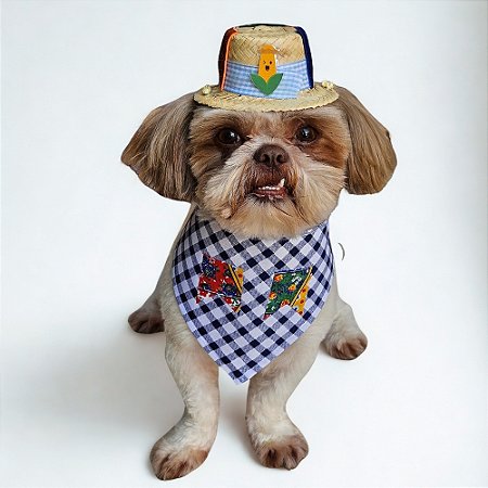 Conjunto Pet Festa Junina Bandana e Chapéu de Palha