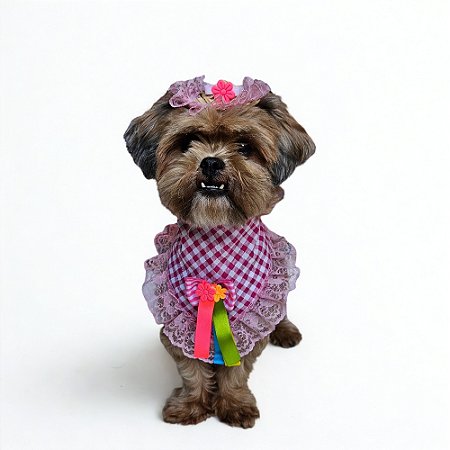 Conjunto Pet Bandana e Mini Chapéu de Palha Festa Junina Femea