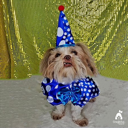 Conjunto Pet Bandana e Chapéu Regulável Palhaço Carnaval