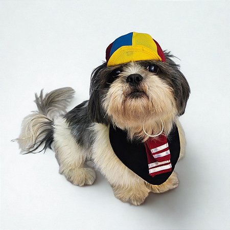 Conjunto Pet Bandana e Chapéu KiKo
