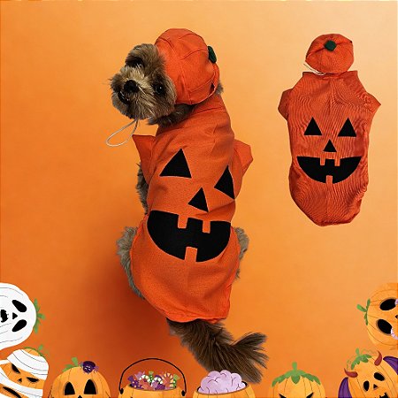 Conjunto pet Halloween Roupa e Chapéu Abóbora