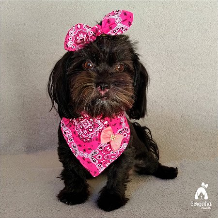 Bandana e Laço Nó Pink