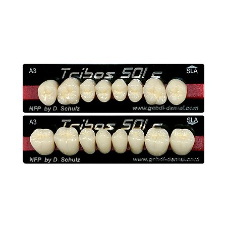 Dente Tribos 501 C (Compósito)