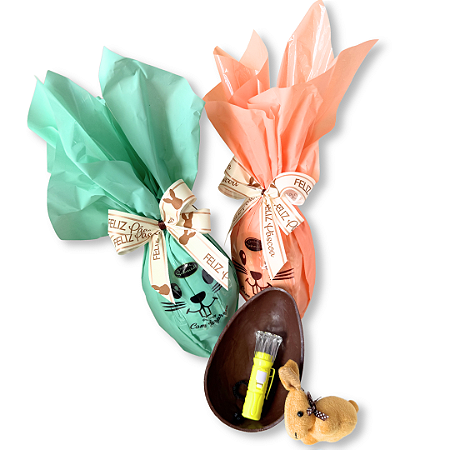 Ovo Kids com surpresa 210g