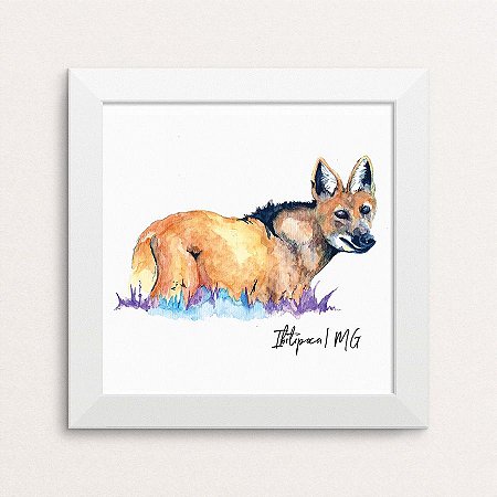 Quadro Lobo-Guará