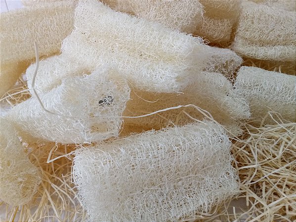BUCHA VEGETAL PEDAÇO - ECOS BANHO - Tamanho 12 à 13cm (01 unidade)