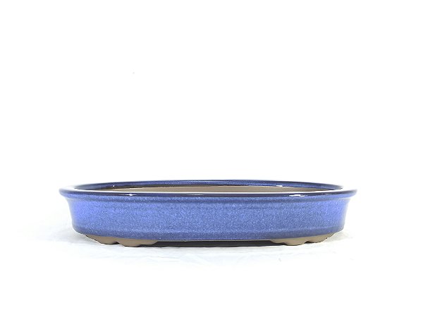 Vaso Bonsai Oval Azul Literato 41x28,5x6,5cm