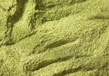 Moringa em Pó