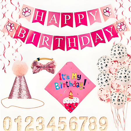 Festa Aniversário Pet - 6 itens