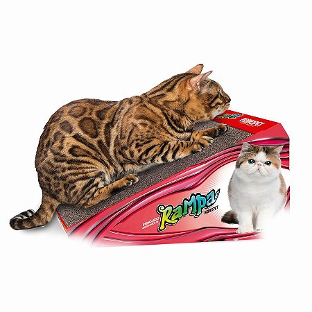 Brinquedo Arranhador Rampa