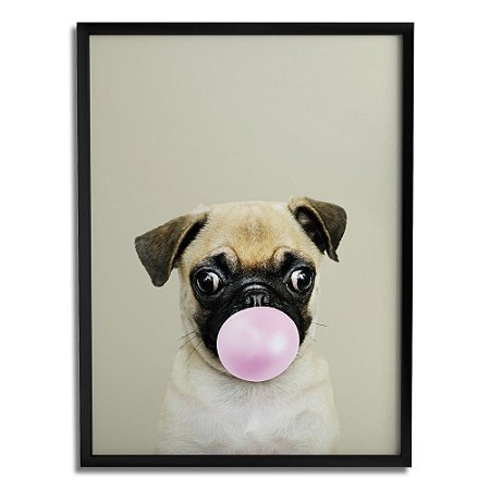 Quadro Decorativo Pug Chiclete