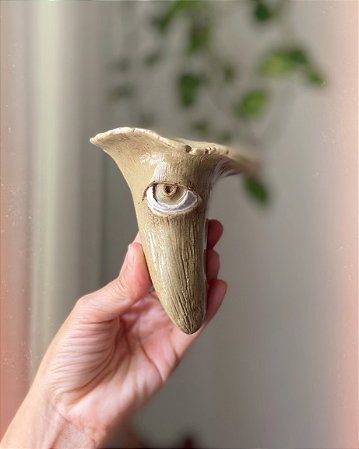 Cogumelo de parede pequeno