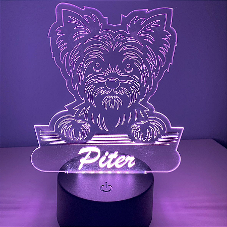 Luminaria Led em Acrílico - Tema Animais