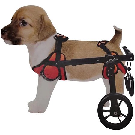 Cadeira de Rodas para Cachorro
