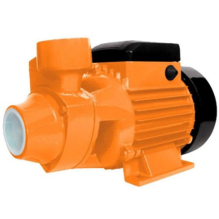 Bomba D' Agua Periférica Bivolt Bp1000 Intech Machine bivolt