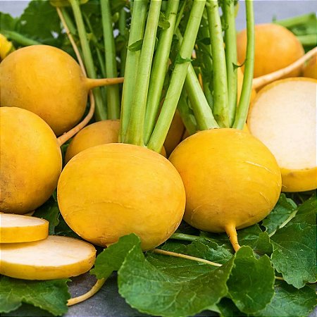 Nabo Amarelo - 50 Sementes
