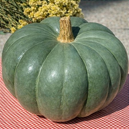 Moranga Coroa - 5 Sementes