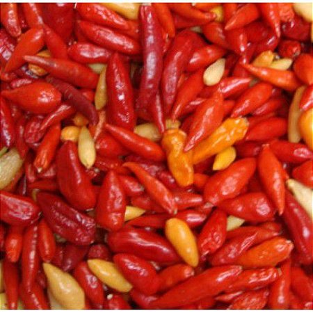 Pimenta Chili Mexicana: 20 Sementes