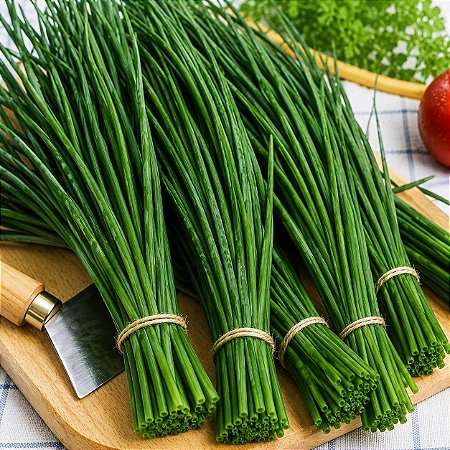 Cebolinha Todo Ano (Ciboulette): 20 Sementes