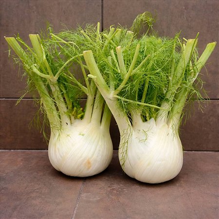 Funcho (Erva Doce de Cabeça): 20 Sementes