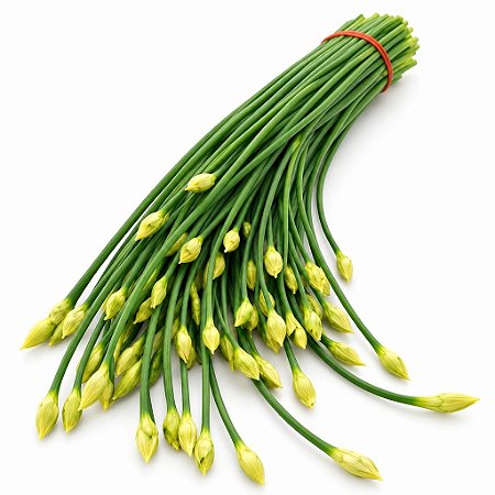 Cebolinha Chinesa (Nirá) - Allium tuberosum - 20 Sementes