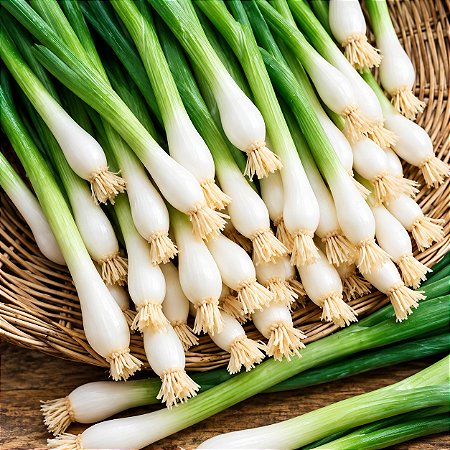 Cebolinha Tokyo Longa ORGÂNICO: 20 Sementes